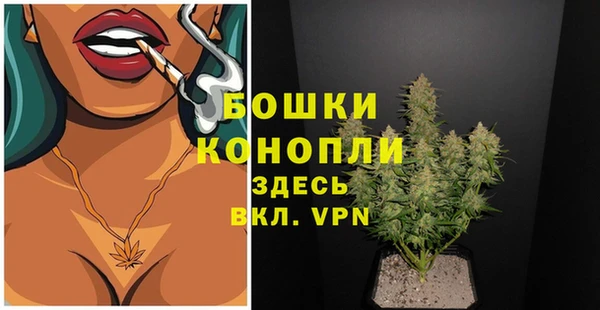 соль ск Няндома