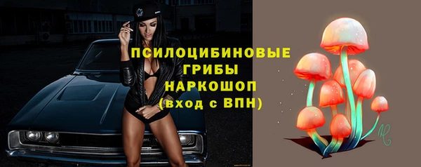 хмурый Горняк