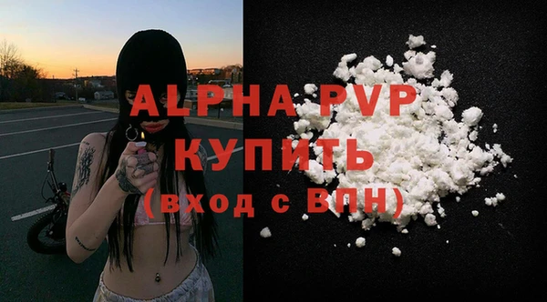 соль ск Няндома