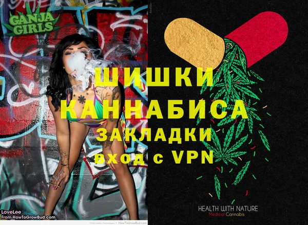 соль ск Няндома