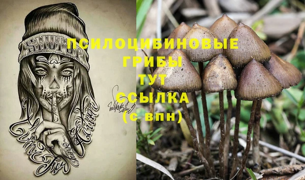 соль ск Няндома