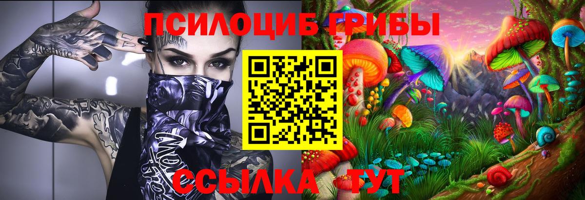 Галлюциногенные грибы MAGIC MUSHROOMS  Вход с VPN  Кохма 