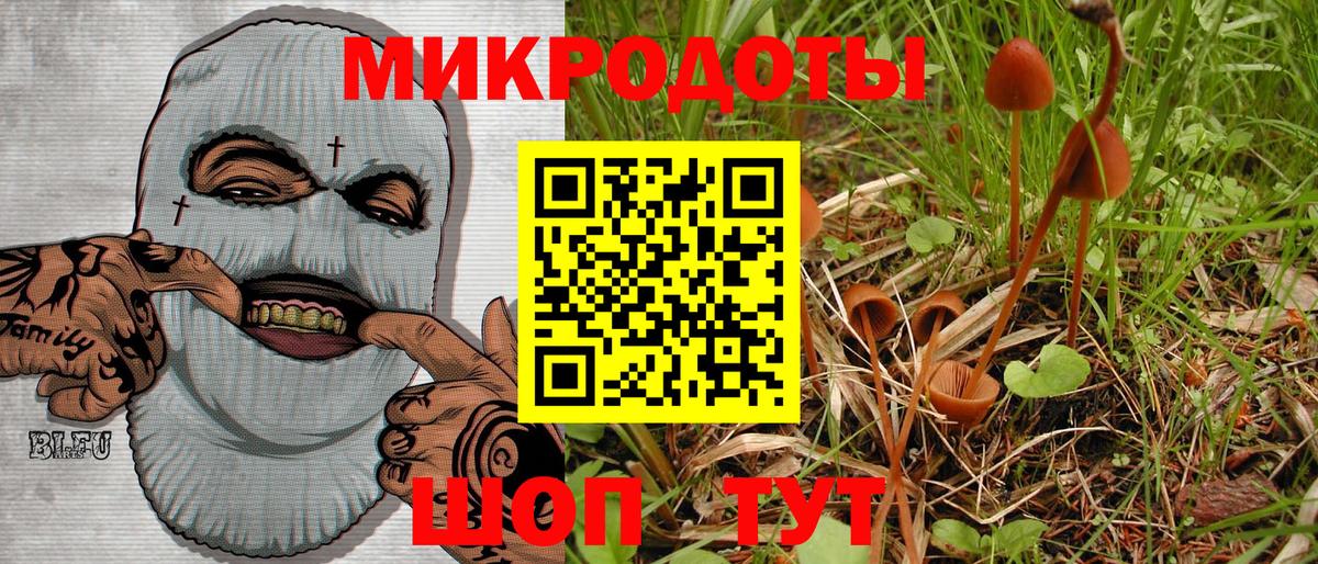 Галлюциногенные грибы ЛСД Кохма